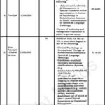 Cadet College Spinkai Jobs 2026 – Teaching and Staff Jobs